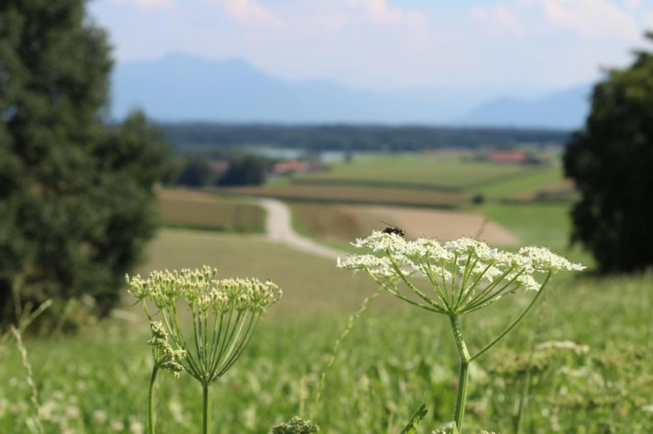 Ferienhof Moyer Höslwang エクステリア 写真